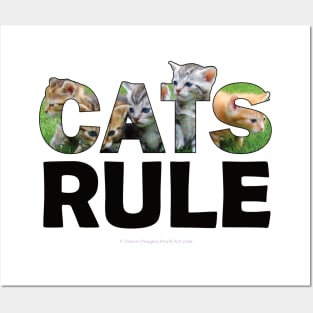 Kittens oil painting word art Posters and Art